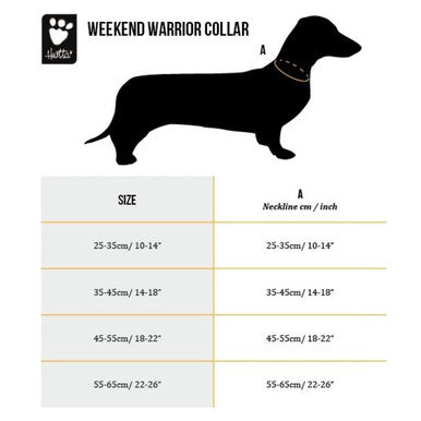 Hurtta Weekend Warrior Green ECO Dog Collar