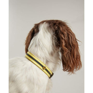 Joules Navy Coastal Dog Collar