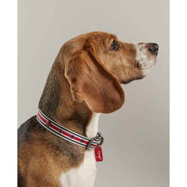 Joules Red Coastal Dog Collar