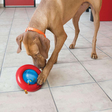 KONG Gyro Treat Dispensing Dog Toy