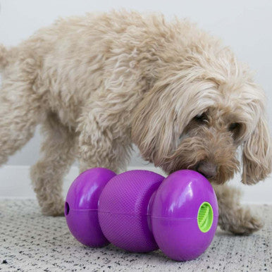 KONG RePlay Treat Dispensing Dog Toy