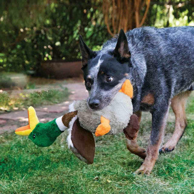 KONG Shakers Honkers Duck for Dog Toy