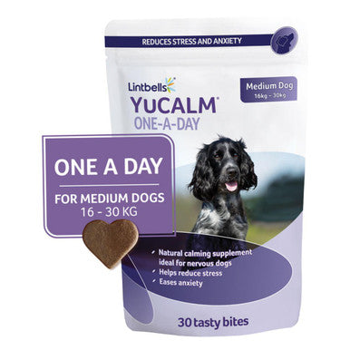 YuMOVE One A Day Calming Care Supplement for Medium Dogs