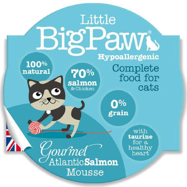 Little Big Paw Gourmet Tender Salmon Mousse Wet Cat Food