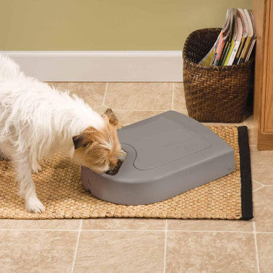 Pet Safe Eatwell 5 Meal Pet Feeder