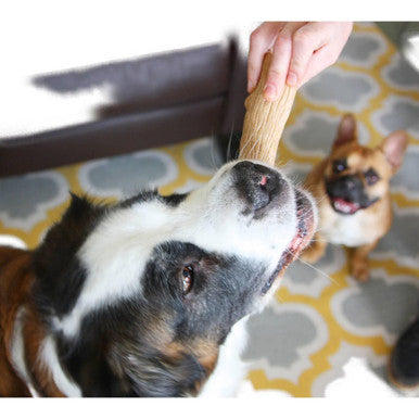 Petstages Dogwood Stick Dog Toy
