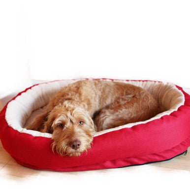 Rosewood 40 Winks Red Orthopaedic Dog Bed