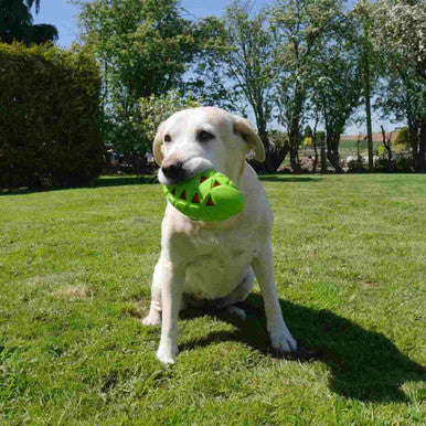 Rosewood Tough Crunch Rugby Ball Dog Toy