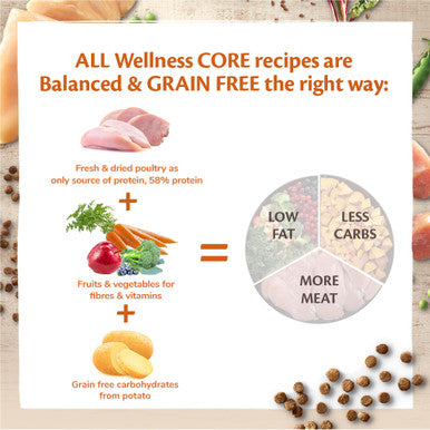 Wellness Core Grain free Kitten Dry Food Turkey with Salmon