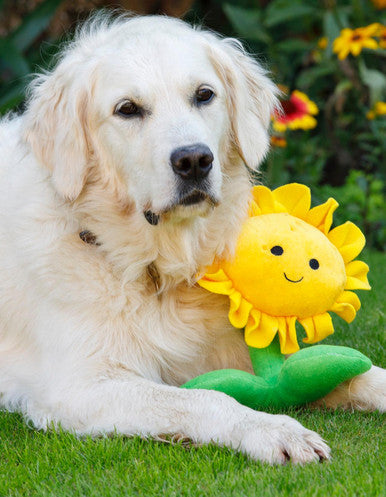 Petface Buddies Sunflower Dog Toy