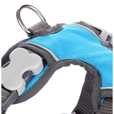 Red Dingo Padded Dog Harness in Turquoise