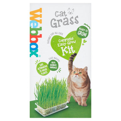 Webbox Cat Grass Complete Easy Grow Kit Cat Treats